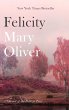 Felicity (eBook, ePUB) - Bild 1