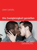 Die Zweigleisigkeit genießen (eBook, ePUB) Die Zweigleisigkeit genießen (eBook, ePUB)