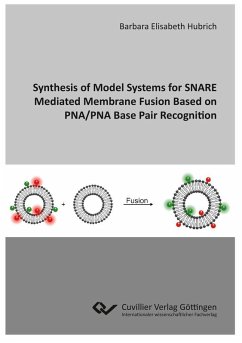 Synthesis of Model Systems for SNARE Mediated Membrane Fusion Based on PNA/PNA Base Pair Recognition (eBook, PDF)