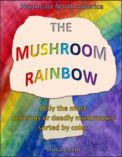 The Mushroom Rainbow (eBook, ePUB) - Entin, Irina