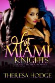 Hot Miami Knights: A Knight Brothers Romance (eBook, ePUB)