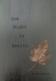 One Night in Zenith (eBook, ePUB)