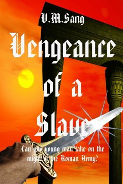 Vengeance of a Slave (eBook, ePUB) - Sang, V. M.