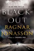 Blackout (eBook, ePUB)