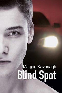 Blind Spot (eBook, ePUB) - Kavanagh, Maggie
