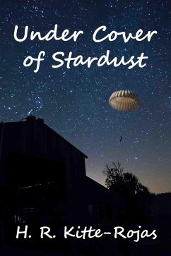 Cover Under Cover of Stardust (eBook, ePUB)
