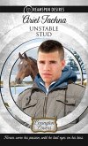 Unstable Stud (eBook, ePUB)