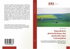 Dégradation photochimique des pesticides dans l'atmosphère