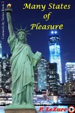 Many States of Pleasure (Connectivity, #3) (eBook, ePUB)