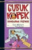 Cubuk Köpek Dondurma Pesinde Ciltli