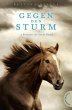 Gegen den Sturm - Bild 1