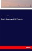 North American Wild Flowers