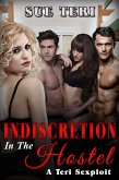 Indiscretion In A Hostel (eBook, ePUB)