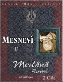 Mesnevi-II (eBook, ePUB)