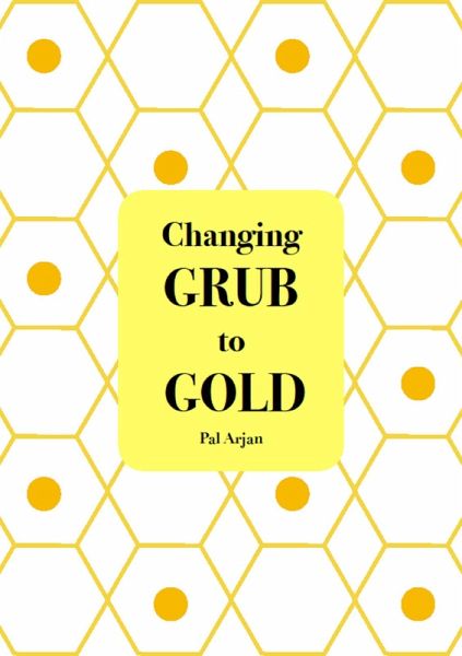 Changing Grub to Gold (eBook, ePUB)