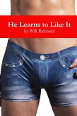 He Learns to Like It (eBook, ePUB)