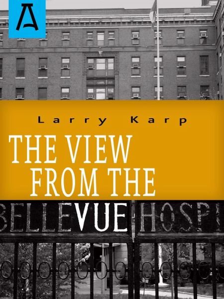 The View from the Vue (eBook, ePUB) The View from the Vue (eBook, ePUB)