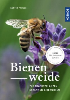 Bienenweide - Pritsch, Günter