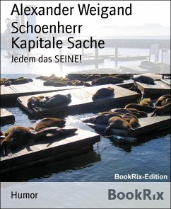 Kapitale Sache (eBook, ePUB) - Weigand Schoenherr, Alexander