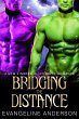 Bridging the Distance...Book 6 in the... - Bild 1