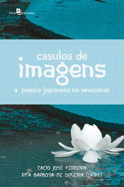 Casulos de Imagens (eBook, ePUB)