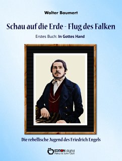 Schau auf die Erde – Der Flug des Falken. Erstes Buch: In Gottes Hand (eBook, PDF) - Baumert, Walter