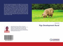 Pigs Development Rural