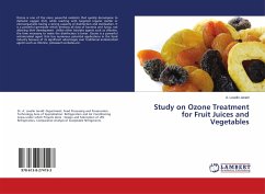 Study on Ozone Treatment for Fruit Juices and Vegetables