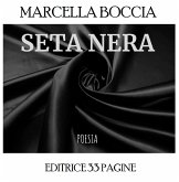 Seta Nera (eBook, ePUB)