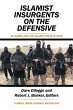 Islamist Insurgents on the Defensive - Bild 1