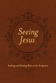 Seeing Jesus (eBook, ePUB)