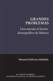 Una mirada al futuro demográfico de México (eBook, ePUB)