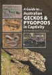 Guide to Australian Geckos & Pygopods... - Bild 1