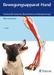 Bewegungsapparat Hund (eBook, ePUB) - Bild 1