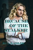 Because of the Stalker (eBook, ePUB)