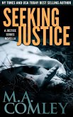 Seeking Justice (eBook, ePUB)