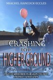 Crashing Into Higher Ground (eBook, ePUB)