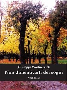 Non dimenticarti dei sogni (eBook, ePUB) - Wochicevick, Giuseppe