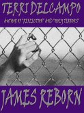 James Reborn (eBook, ePUB)