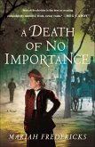 A Death of No Importance (eBook, ePUB) A Death of No Importance (eBook, ePUB)