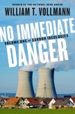 No Immediate Danger (eBook, ePUB)