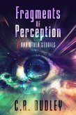 Fragments of Perception and Other Stories (eBook, ePUB)