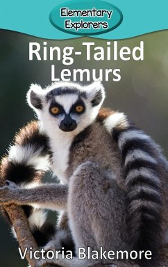 Ring-Tailed Lemurs - Blakemore, Victoria