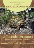 La Testudo hermanni hermanni-varietà di Puglia (eBook, PDF)