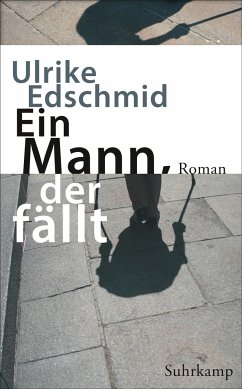 Ein Mann, der fällt - Edschmid, Ulrike