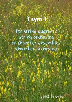 1 sym 1 for string quartet/string orchestra or chamber ensemble/chamber orchestra - de Groot, Joost