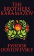 The Brothers Karamazov (eBook, ePUB) - Bild 1