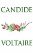 Candide (eBook, ePUB) - Bild 1