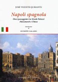 Napoli spagnola. Dieci passeggiate tra strade, palazzi, monumenti e chiese