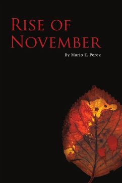 Cover Rise of November